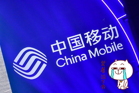 微信取得通讯软件胜利，飞信失败，网友：格局决定未来