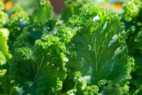 一键轻松完成微信辅助注册