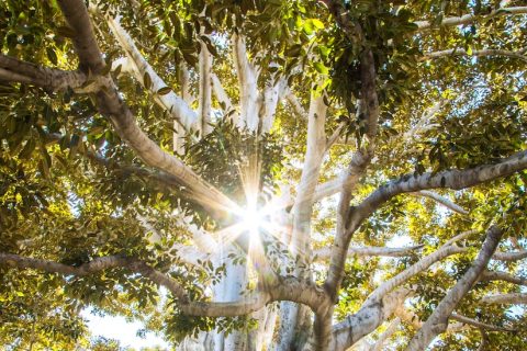 微信解封商家的服务流程是怎样的？