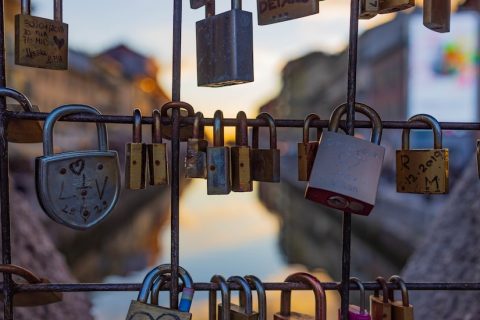 vx辅助注册工具是否支持自动填写注册信息？