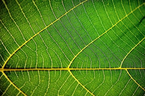 微信预加保号具体是什么意思？